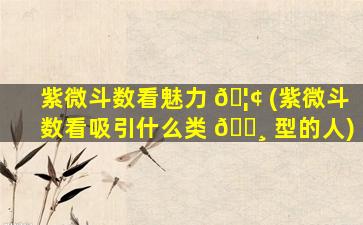 紫微斗数看魅力 🦢 (紫微斗数看吸引什么类 🕸 型的人)